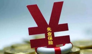 失业金是领保险金还是补助金 失业领的是补助还是保险金