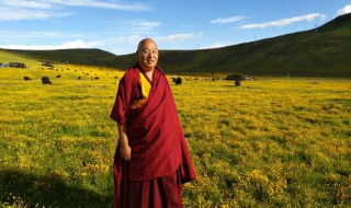 活佛是什么意思呀（活佛是什么意思呀 字词）