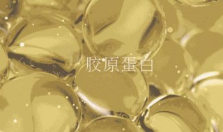 怎么才能补充胶原蛋白（怎样才能补充胶原蛋白）