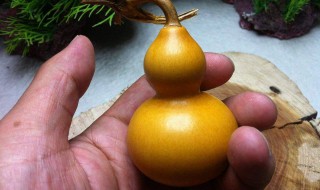 葫芦怎么处理才能保存 葫芦怎么处理才能保存,弄个水壶