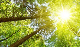 光的最慢速度是多少（光速最慢的时候?）