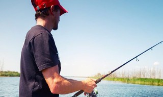 怎样做野钓饵料 怎样做野钓饵料视频
