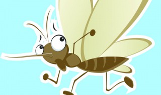 为什么花蚊子那么毒 为什么花蚊子比普通蚊子厉害