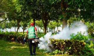 新四害是指哪四害 新四害是指哪四害广场舞暴走团