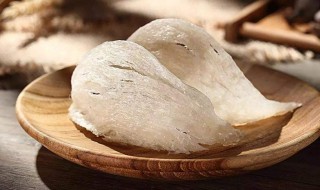 啥是燕窝（燕窝是啥东西形成的）