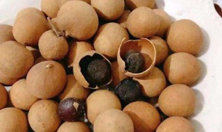 干桂圆有什么作用与功效 男人吃干桂圆有什么作用与功效