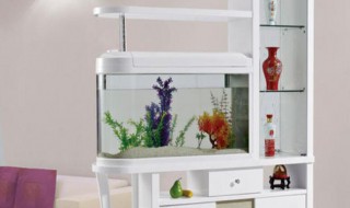 为什么不能开门见鱼缸 为什么不能开门见鱼缸的风水说法