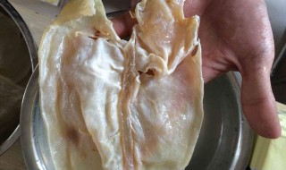 鱼胶清洗方法 鱼胶清洗方法有几种