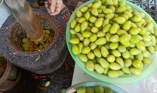 白榄保鲜方法 白榄怎样保存新鲜