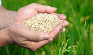 厉行节俭拒绝浪费的活动介绍（历行节俭,拒绝浪费发言稿）