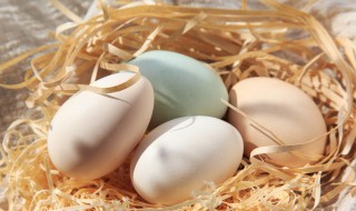 鹅蛋孕妇吃有什么好处（鹅蛋孕妇吃有什么好处黄疸）