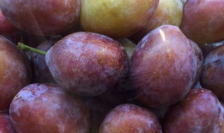 吃西梅有什么好处（吃西梅有什么好处和坏处）