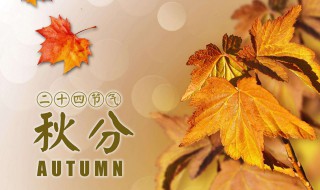 春夏秋冬分别是哪几个月（2024年春夏秋冬分别是哪几个月）