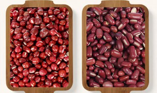 红豆和赤小豆有什么区别（红豆和赤小豆有什么区别图片）