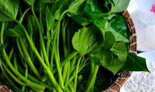 吃红薯叶子有什么好处（吃红薯叶子有什么好处?）