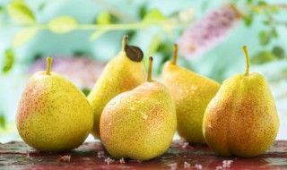 梨可以放冰箱保鲜吗 梨可以放冰箱保鲜吗冬天
