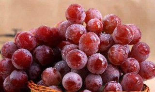 葡萄可以放冰箱保鲜吗（葡萄可以放在冰箱里保鲜吗）