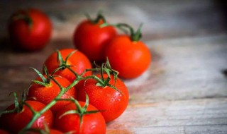 西红柿可以放冰箱保鲜吗 西红柿保存的最佳方法