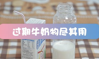 牛奶过期了如何利用 牛奶过期了如何利用浇花