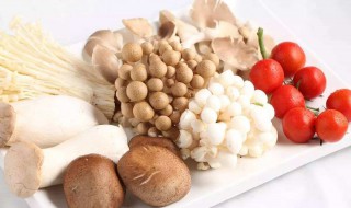 蘑菇的营养价值及功效（平菇的营养价值及功效）