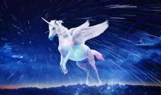 独角兽的寓意解释 独角兽的寓意解释和象征