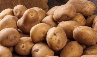 土豆营养价值及功效 土豆营养价值及功效与作用禁忌