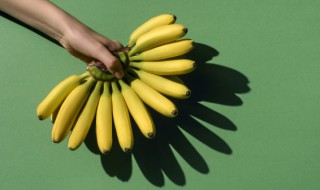 香蕉养殖方法 香蕉养殖方法有哪些
