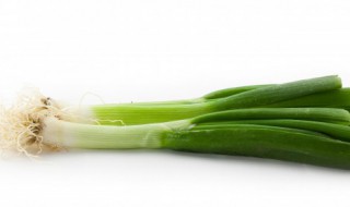 香葱养护方法（香葱养护方法有哪些）