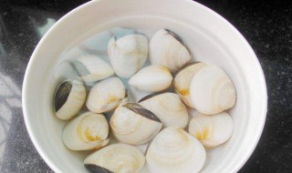 清洗白贝方法 如何清洗白贝里的沙子