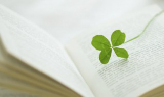 筠的寓意好吗（筠的寓意好吗唯美大气的女孩名字）