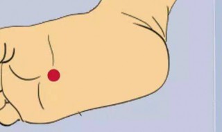 涌泉的作用与好处 涌泉的作用与好处 针灸