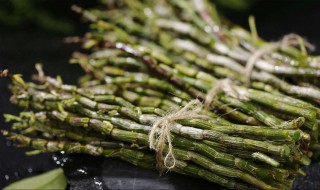 石斛有什么好处 男人喝铁皮石斛有什么好处