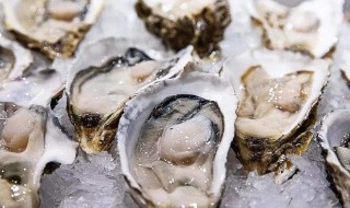 女人吃生蚝有什么好处（女人吃生蚝有什么好处和功效吗）