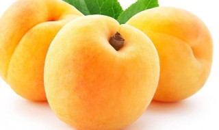 黄桃罐头为什么用盐水泡 黄桃罐头放盐起什么作用