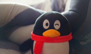 qq怎么看加好友多少天 qq怎么看加好友多少天中间有一段时间删除了