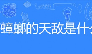 蟑螂的天敌（蟑螂的天敌是什么）