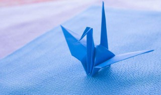千纸鹤寓意（千纸鹤寓意和象征）