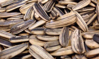 吃瓜子的好处与坏处（女人长期吃瓜子的好处与坏处）