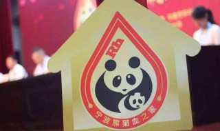 熊猫血有什么好处 熊猫血有什么好处和特别吗