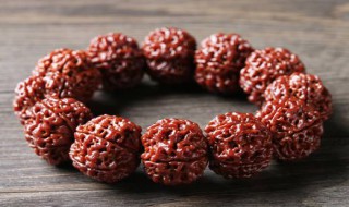 金刚菩提的寓意与作用（六瓣金刚菩提的寓意与作用）