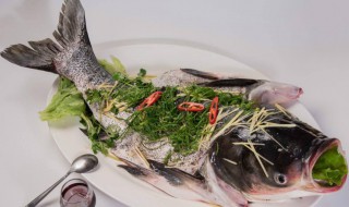 鱼眼睛吃了有什么好处 鱼眼睛吃了有什么好处?霸王龙能打败100只老虎吗?