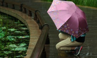 送伞的寓意（送伞的寓意和象征意义）