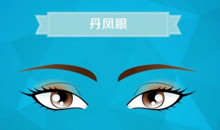 什么是丹凤眼（什么是丹凤眼有什么特征）