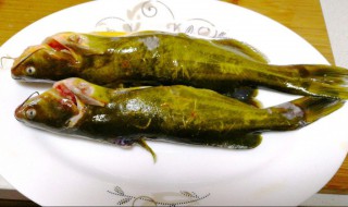 黄辣丁的营养价值（黄辣丁的营养价值高吗）