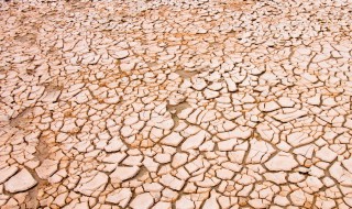 如何让板结的泥土松散 如何让板结的泥土松散 啤酒