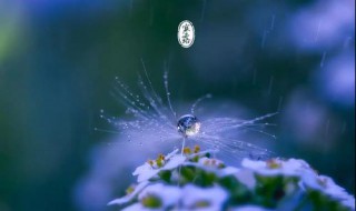 寒露是啥意思 寒露是啥意思我解释几句