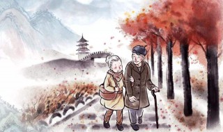 国际老人节是几月几号（国际老人节的意义）