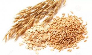 谷麦制作方法（谷麦制作方法和配方）