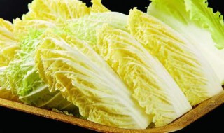 白菜苗几天浇一次水 白菜苗几天浇一次水最好