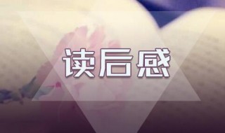 小屁孩日记读后感怎样写 小屁孩日记读后感怎样写好